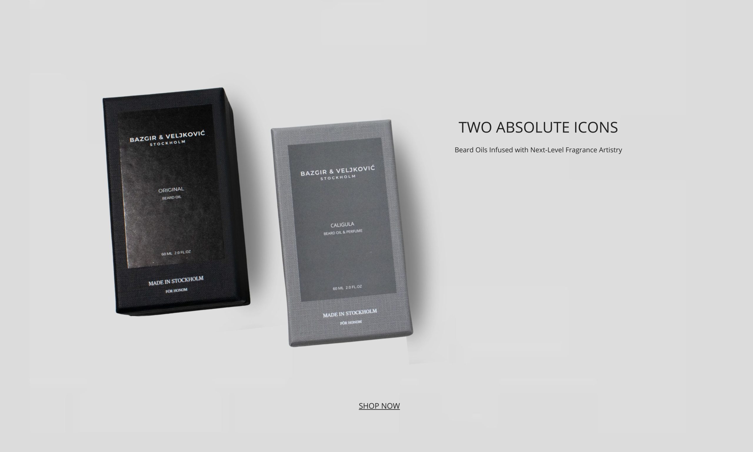 TWO ABSOLUTE ICONS 11 scaled